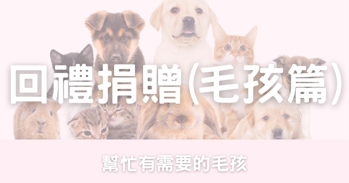 香港婚宴回禮捐贈-毛孩篇-婚禮新手村｜流程指引與婚禮工具平台